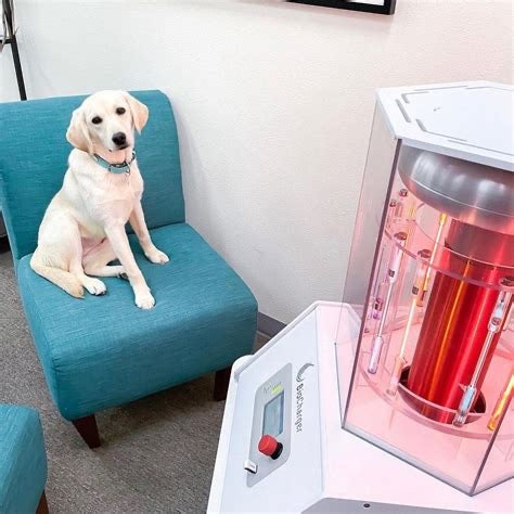 Terapia BioCharger