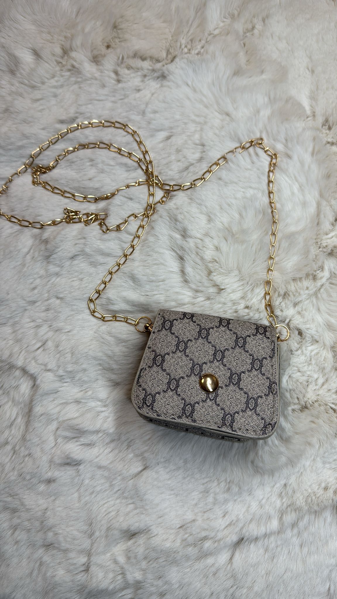 Mini Cartera Estilo Clásico