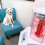 Terapia BioCharger