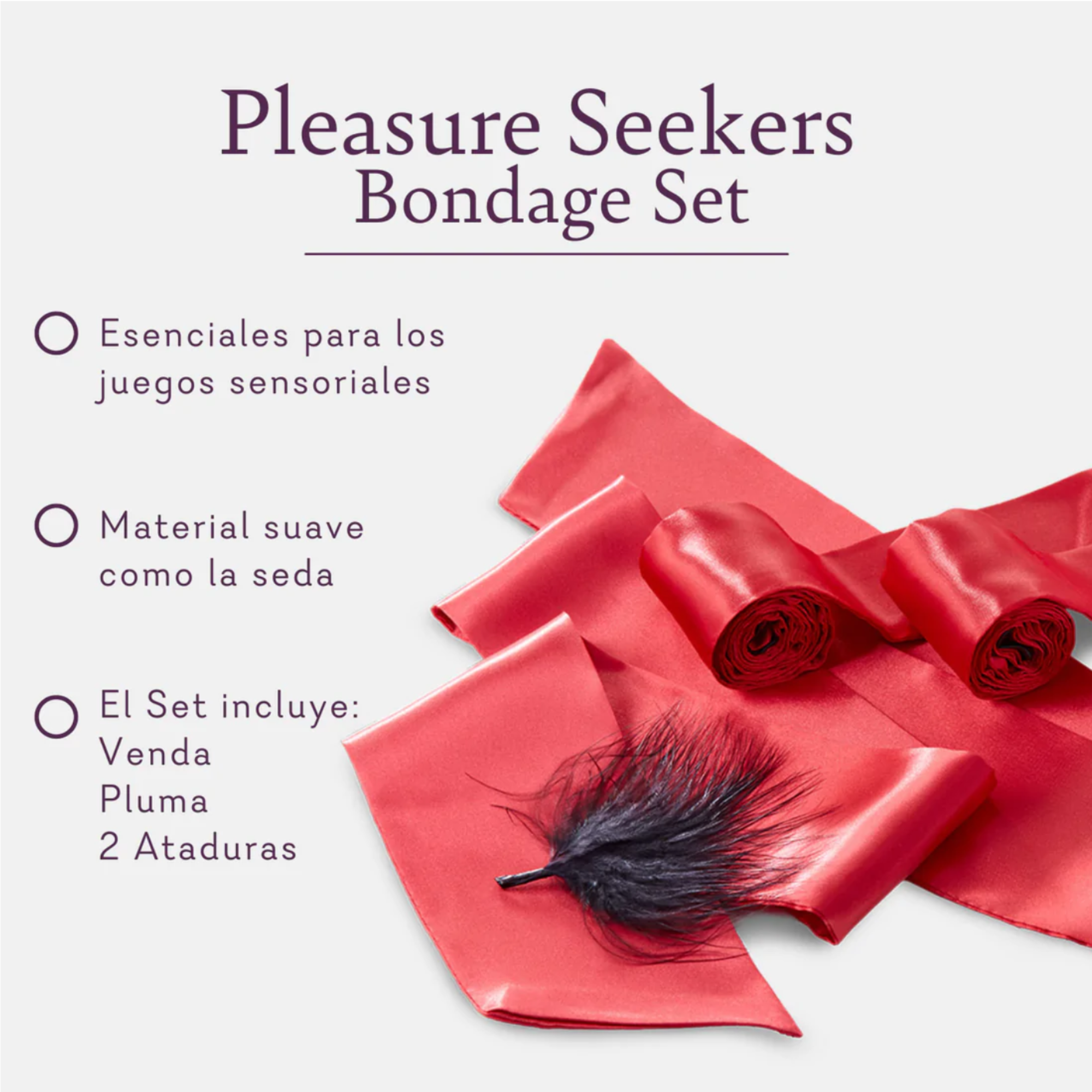 Pleasure Seekers Play Set (94) - Fiestas by Nana, LLC